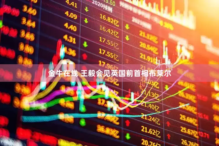 金牛在线 王毅会见英国前首相布莱尔