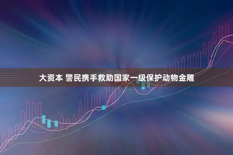 大资本 警民携手救助国家一级保护动物金雕