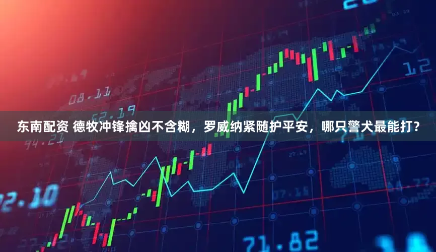 东南配资 德牧冲锋擒凶不含糊，罗威纳紧随护平安，哪只警犬最能打？