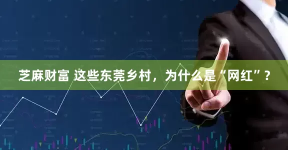 芝麻财富 这些东莞乡村，为什么是“网红”？
