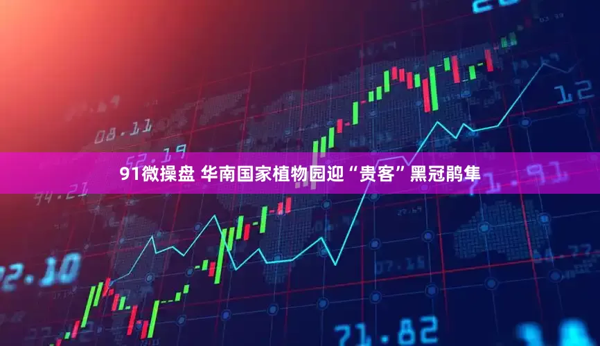 91微操盘 华南国家植物园迎“贵客”黑冠鹃隼