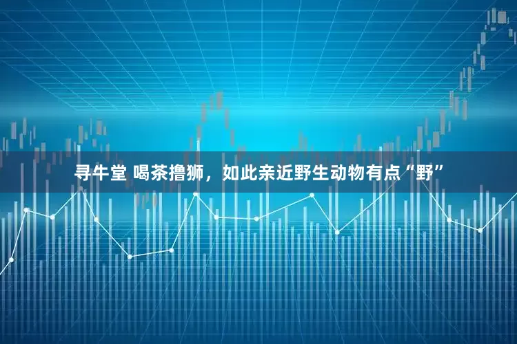 寻牛堂 喝茶撸狮，如此亲近野生动物有点“野”
