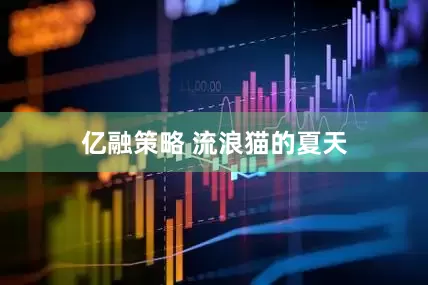 亿融策略 流浪猫的夏天