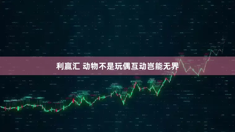 利赢汇 动物不是玩偶互动岂能无界