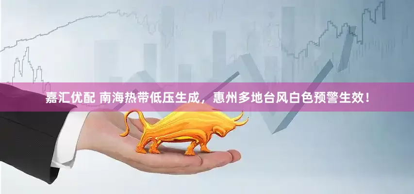 嘉汇优配 南海热带低压生成，惠州多地台风白色预警生效！