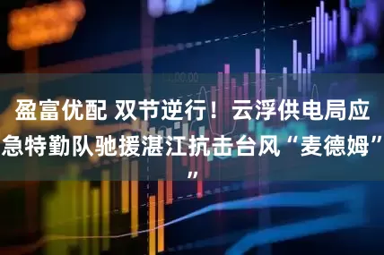 盈富优配 双节逆行！云浮供电局应急特勤队驰援湛江抗击台风“麦德姆”