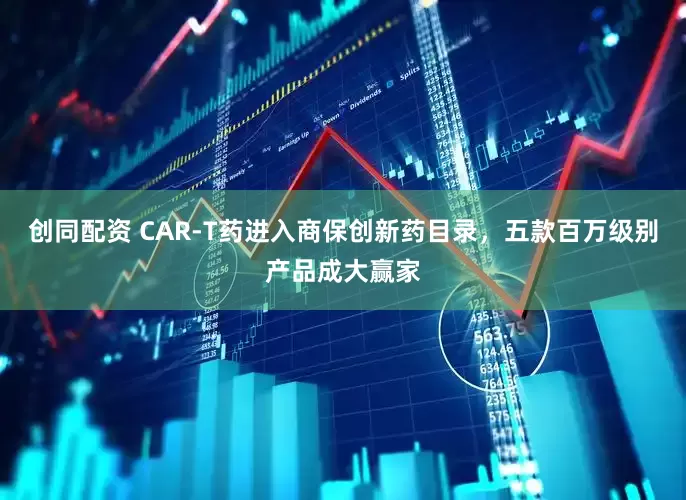 创同配资 CAR-T药进入商保创新药目录，五款百万级别产品成大赢家